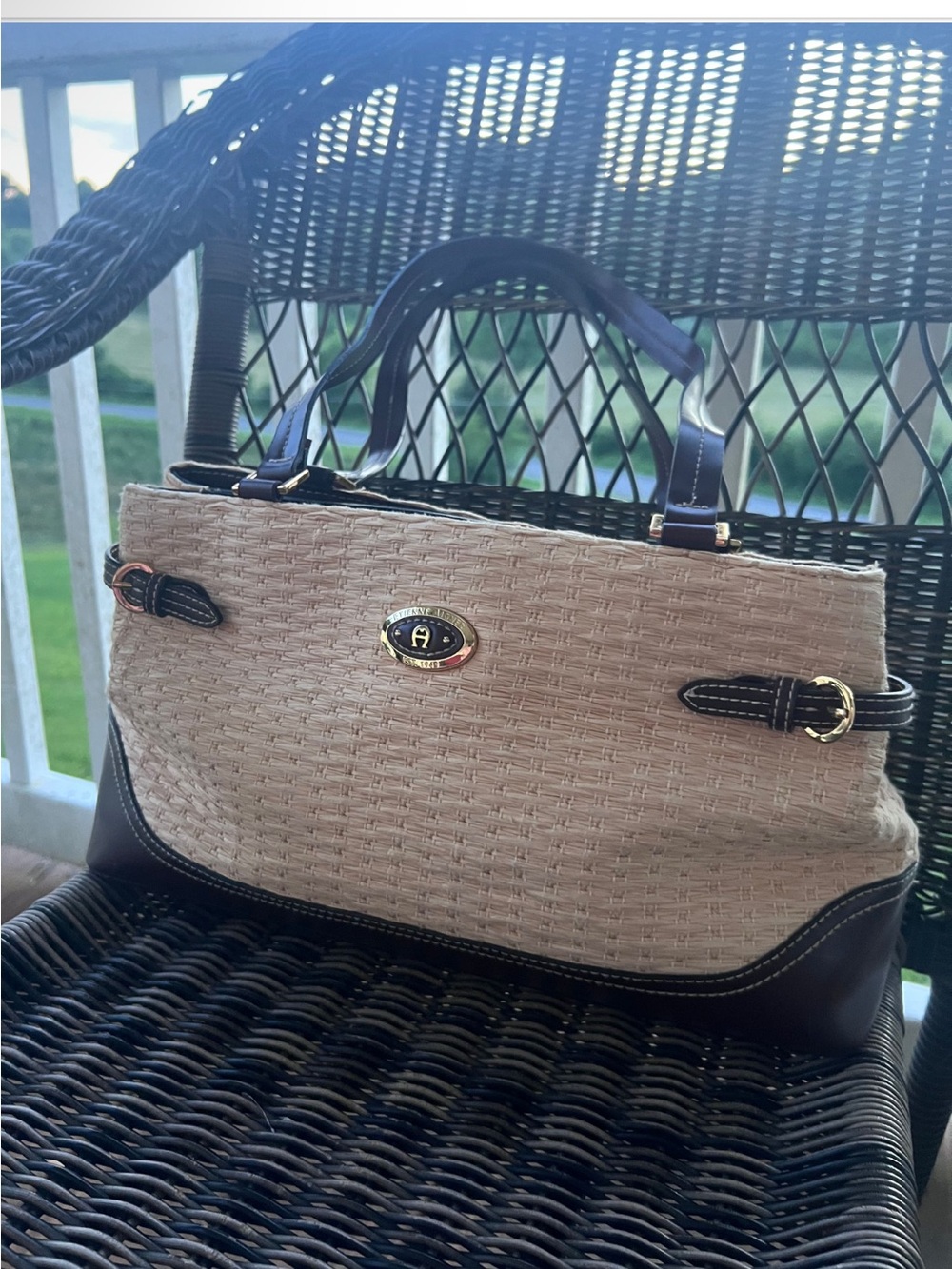 Beige Woven Tote with Dark Brown Trim